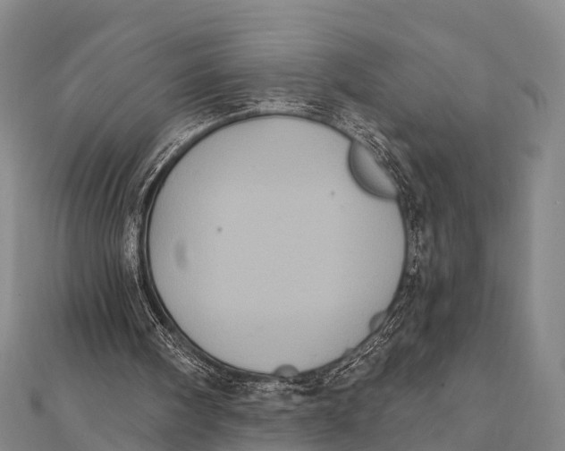 X0000112000098200908241441