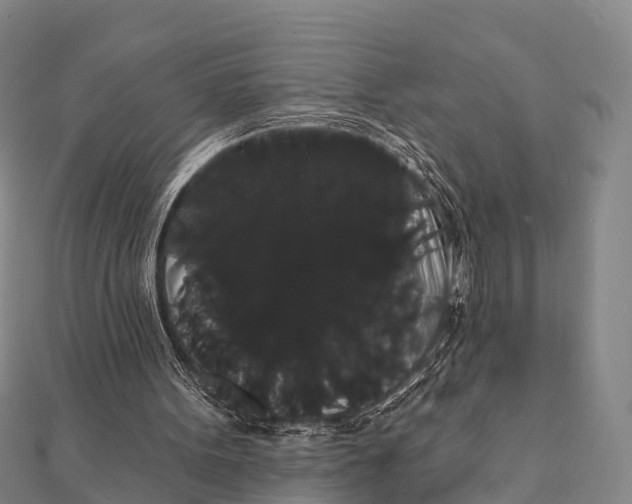 X0000112000099200908241441