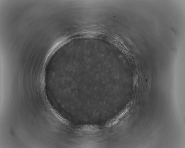 X0000112000101200908241441