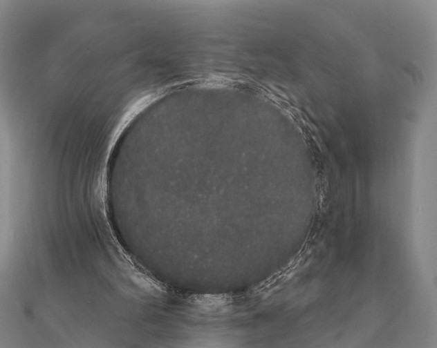 X0000112000102200908241441