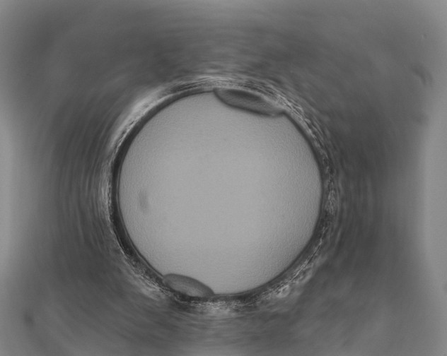 X0000112000103200908241441