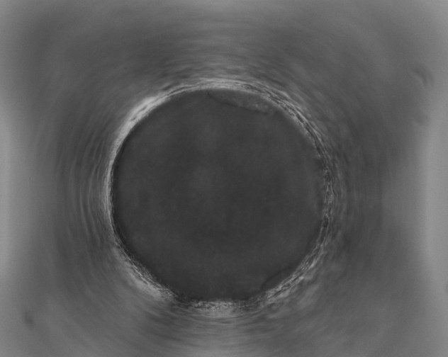 X0000112000104200908241441