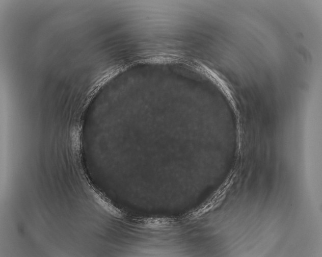 X0000112000105200908241441