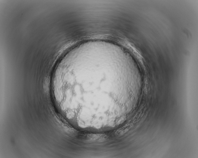 X0000112000107200908241441