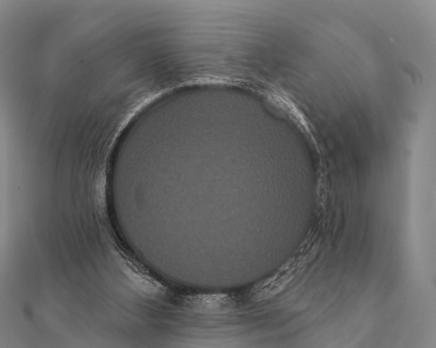 X0000112000108200908241441