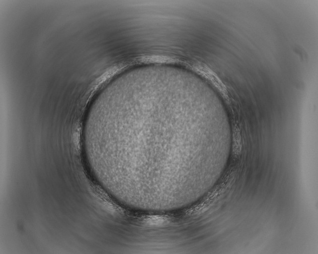 X0000112000111200908241441