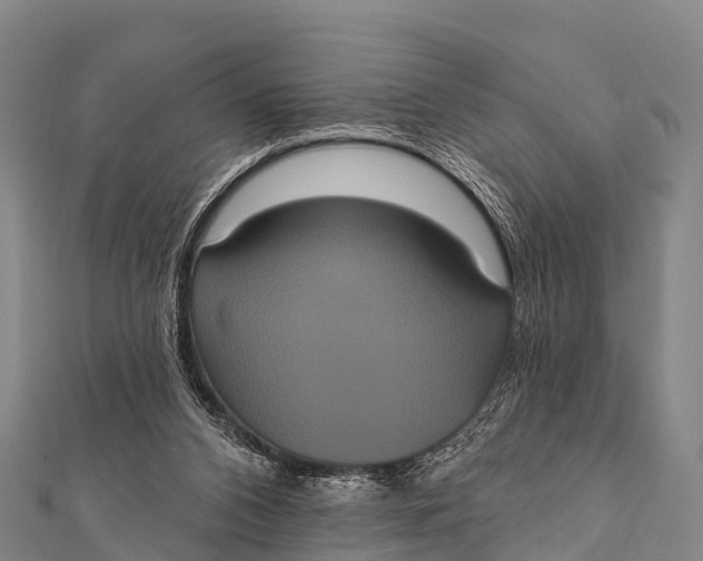 X0000112000112200908241441