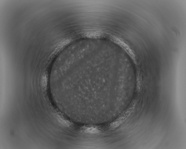 X0000112000113200908241441