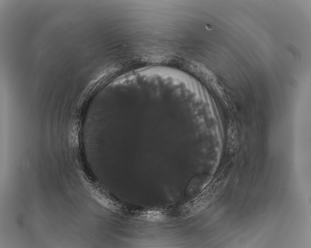 X0000112000114200908241441