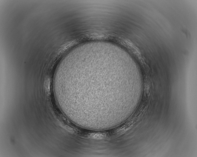 X0000112000115200908241441