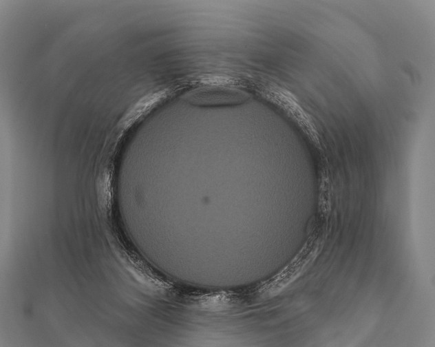 X0000112000116200908241441