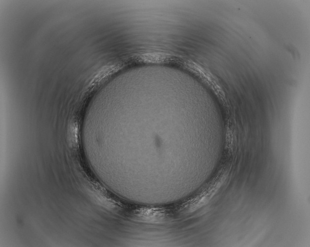 X0000112000117200908241441