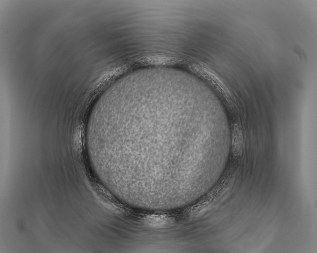 X0000112000119200908241441