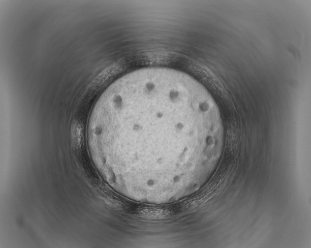 X0000112000123200908241441