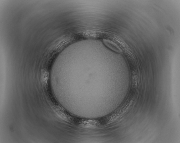 X0000112000125200908241441