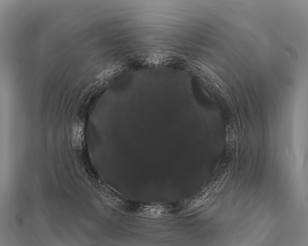 X0000112000127200908241441