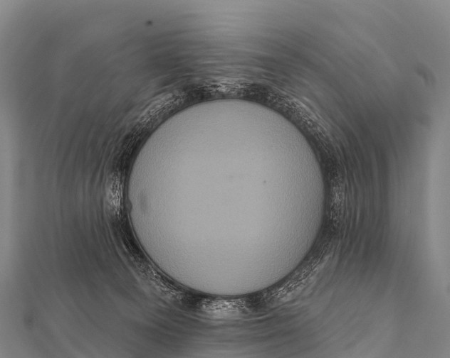 X0000112000129200908241441