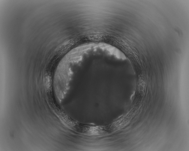 X0000112000130200908241441