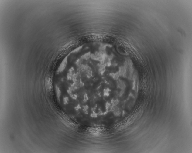 X0000112000131200908241441