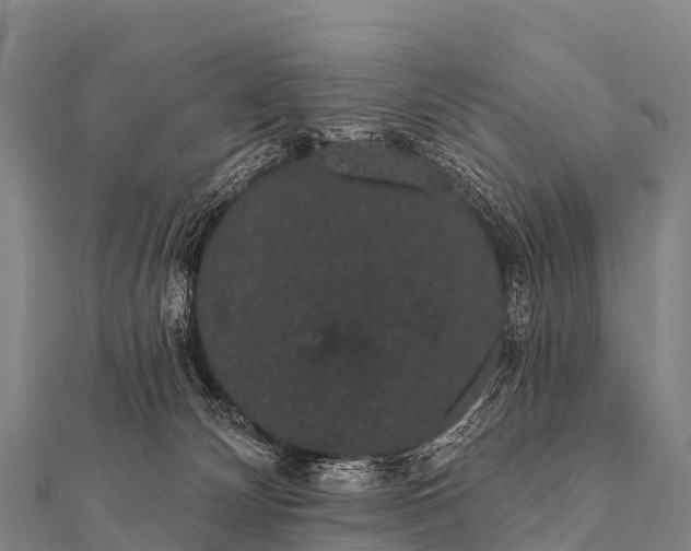 X0000112000132200908241441