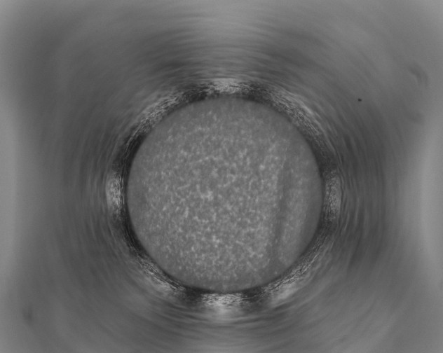 X0000112000135200908241441