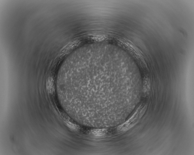 X0000112000136200908241441