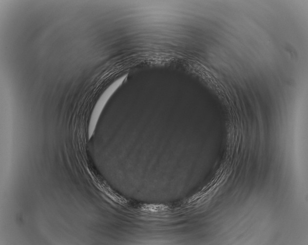 X0000112000137200908241441