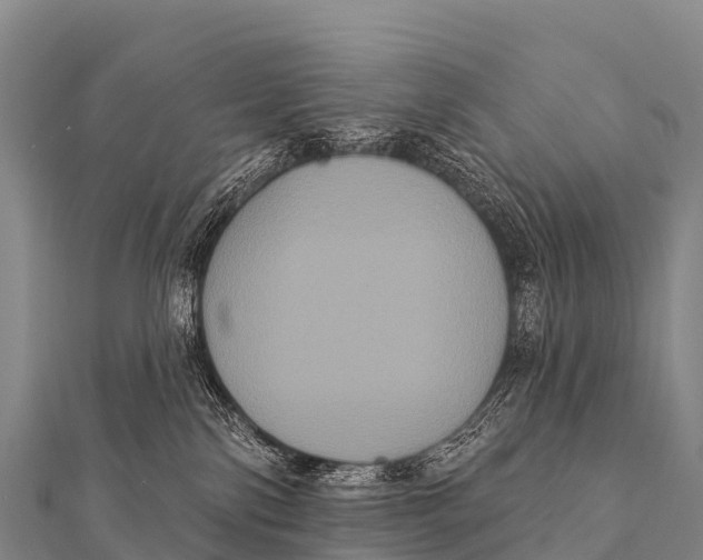 X0000112000138200908241441