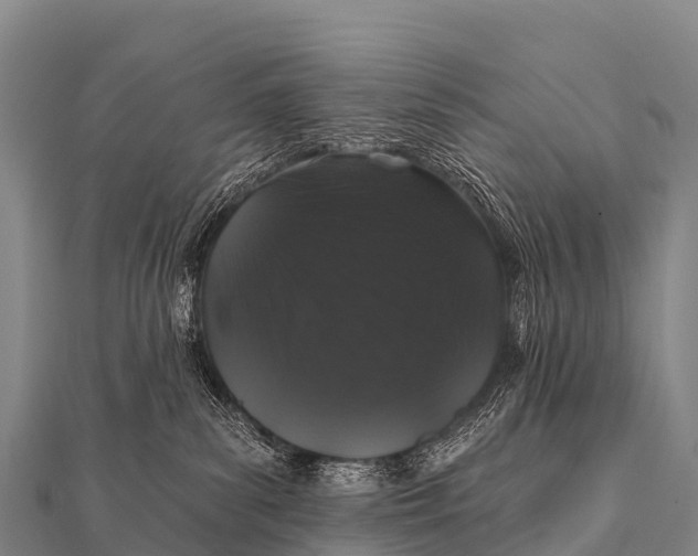 X0000112000139200908241441