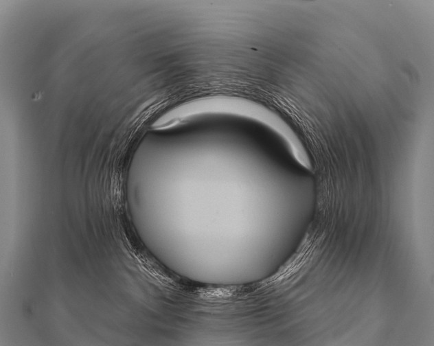 X0000112000140200908241441