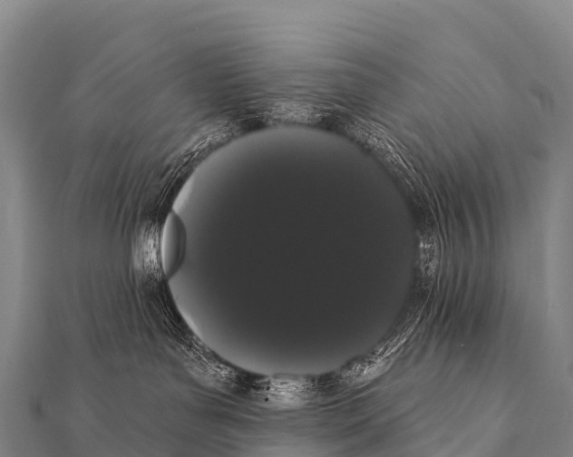 X0000112000143200908241441