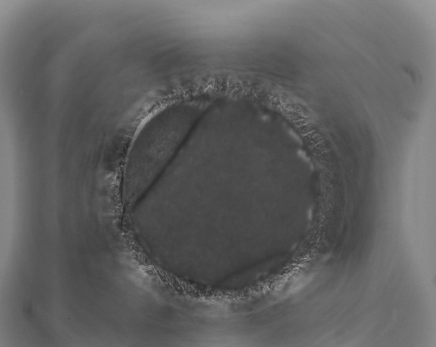 X0000112000144200908241441