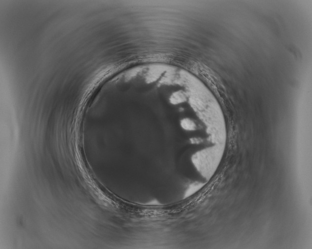 X0000112000145200908241440