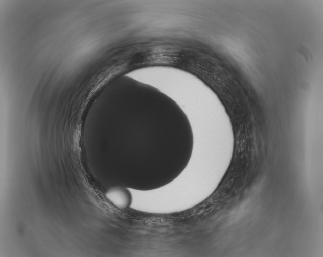 X0000112000146200908241440