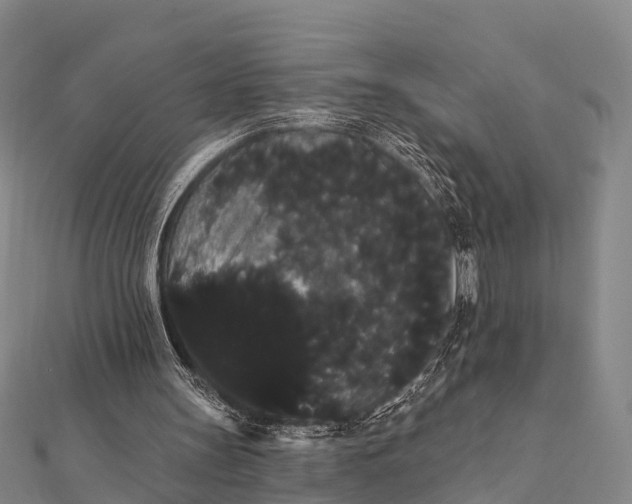 X0000112000147200908241440