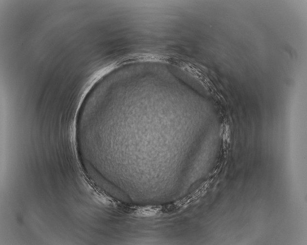 X0000112000148200908241440