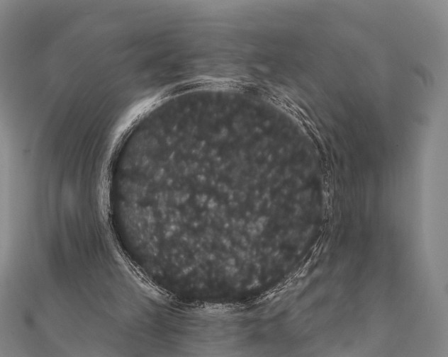 X0000112000149200908241440