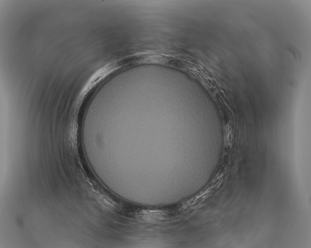 X0000112000150200908241440