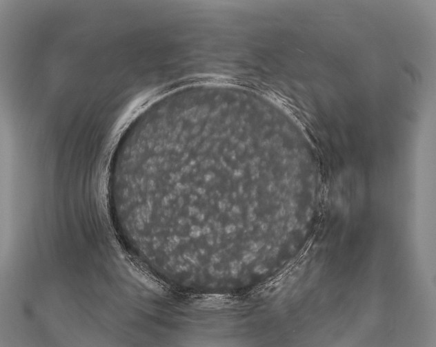 X0000112000151200908241440