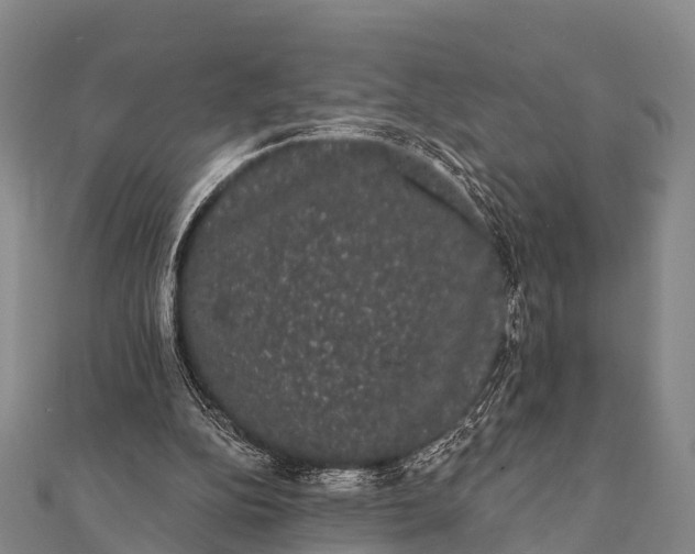 X0000112000152200908241440