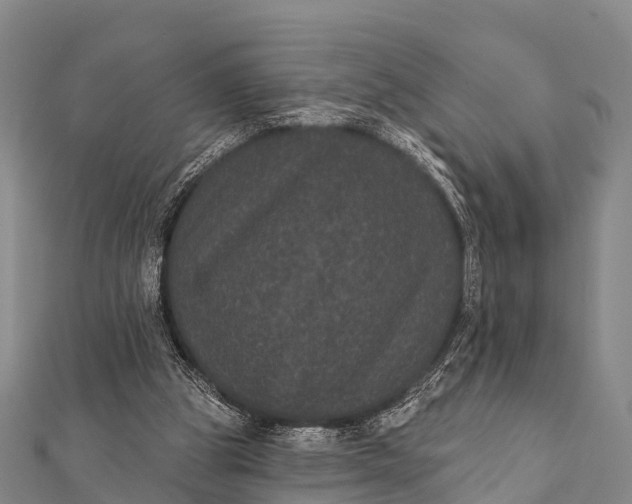 X0000112000153200908241440