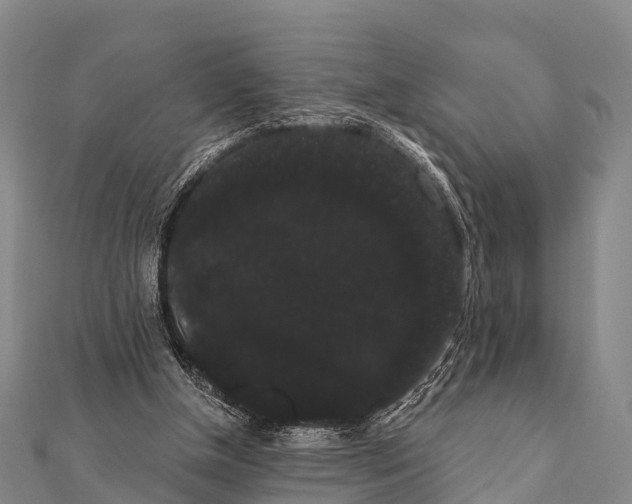 X0000112000154200908241440