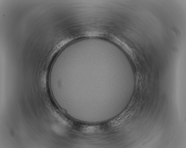 X0000112000155200908241440