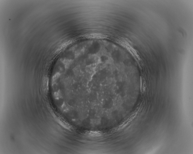 X0000112000157200908241440