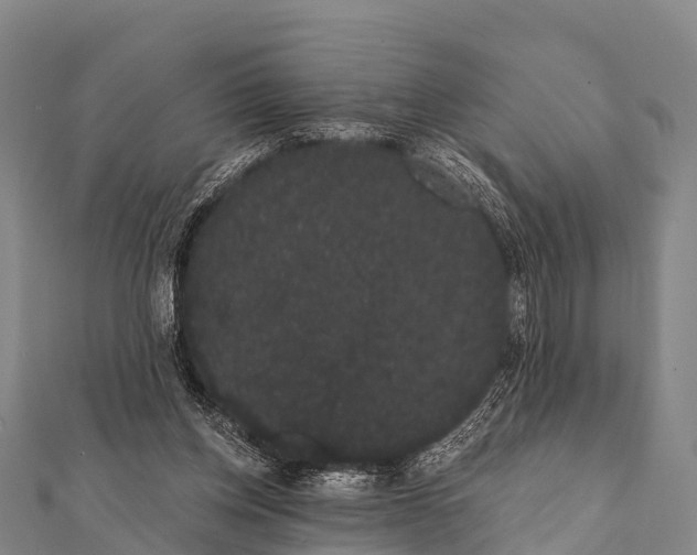 X0000112000158200908241440