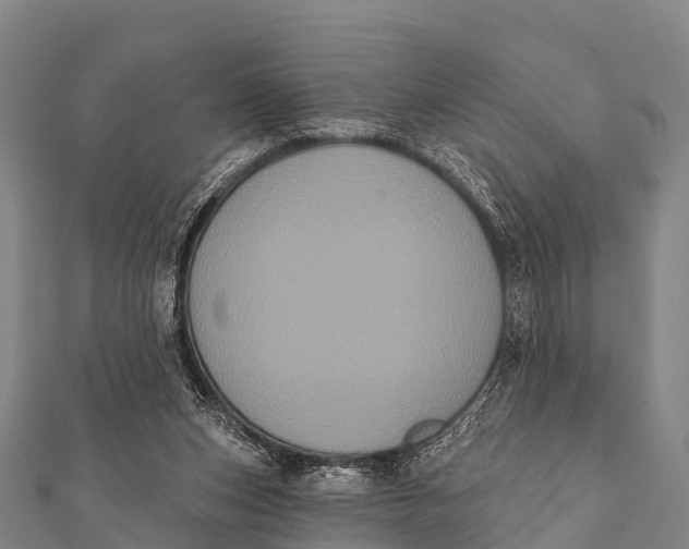 X0000112000159200908241440