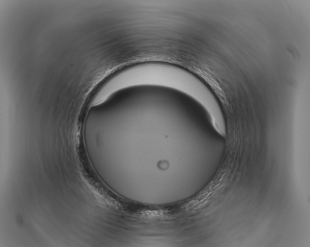 X0000112000160200908241440