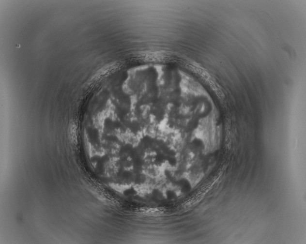 X0000112000161200908241440