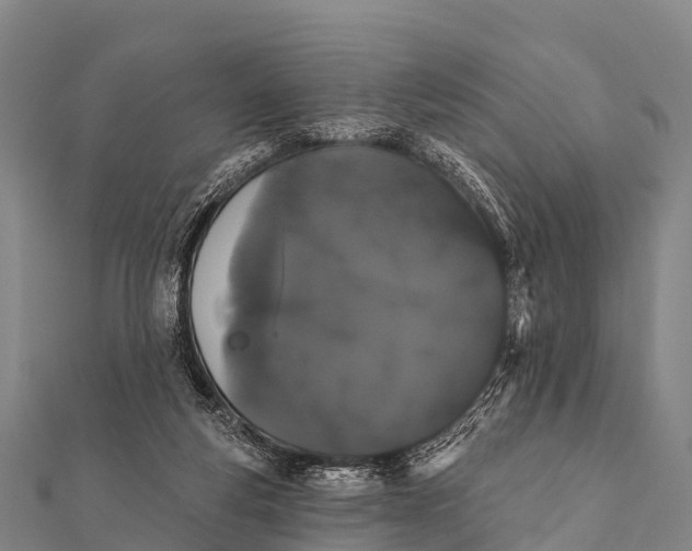 X0000112000163200908241441