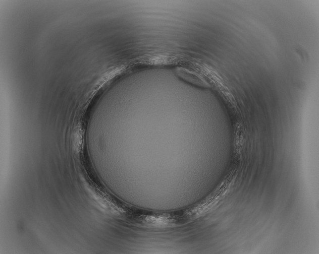 X0000112000164200908241441